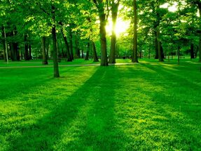 4-Nature-Wallpapers-2014-1