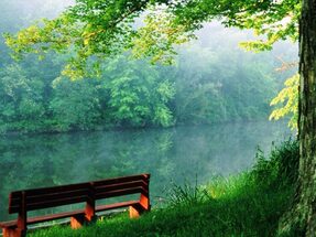 Beauty-of-nature-random-4884759-1280-800